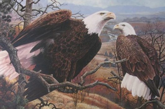 Guardians Of The Valley