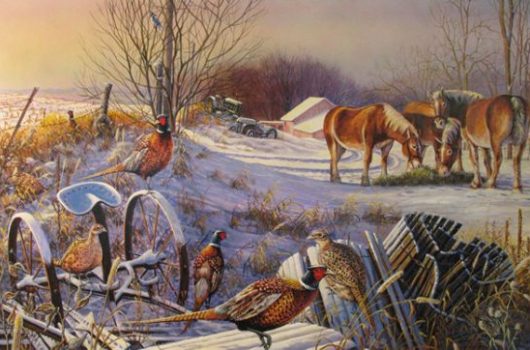 Fenceline Companions